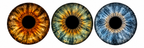 Iris digital download