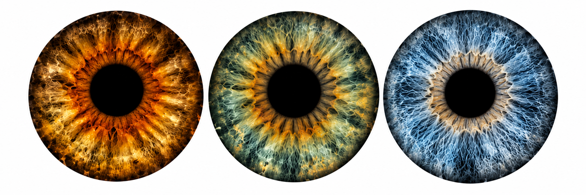 Iris digital download